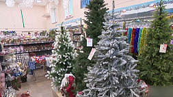 Новогодние ярмарки в Минске приглашают любителей зимнего шопинга
