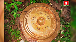 Противотанковые мины обнаружены в Ивацевичском районе
