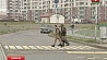 Необычные пешеходные переходы появились в Московском районе столицы
