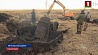 Фрагменты легендарного танка Т-34 сегодня обнаружили в поселке Золотой Рог
