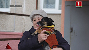 Сыщики Минска помогли пенсионерке найти ее питомца