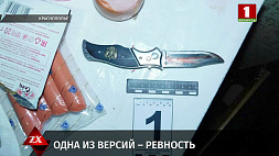Следствие разбирается в обстоятельствах убийства в Краснополье - по одной из версий, причиной стала ревность