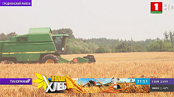 Первый комбайнер, намолотивший 2 тыс. тонн зерна, появился в Гродненской области