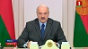 Александр Лукашенко: Белорусско-российские переговоры в Сочи были тяжелые, но результативные 