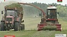 Большинство сельхозпредприятий  Минской области завершило первый укос трав