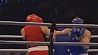 Квартет белорусских боксеров пробился в полуфинал чемпионата Европы
