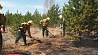Площадь лесных пожаров в Сибири за сутки выросла вдвое