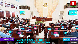 Депутаты в первом чтении приняли поправки в законы по вопросам защиты суверенитета и конституционного строя