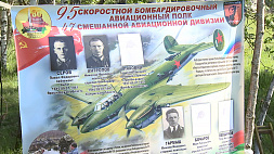 Работы по поиску и извлечению останков экипажа советского бомбардировщика Пе-2 проходят в Сенненском районе