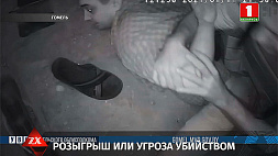 Пьяный мужчина в Гомеле угрожал подросткам пистолетом 