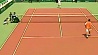 Максим Мирный покидает теннисный турнир в Майами