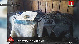 Почти тонну браги обнаружили в заброшенном доме в Ивьевском районе