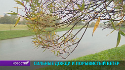 Сильные дожди и порывистый ветер - в Беларуси объявлен оранжевый уровень опасности