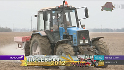 Беларусь обеспечена семенами сахарной свеклы на 100 %