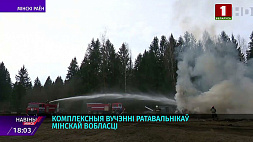 Комплексные учения спасателей области прошли в Минском районе