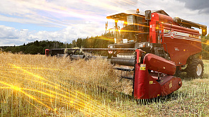 В Беларуси намолотили почти 6 млн 670 тыс тонн зерна с учетом рапса