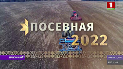 Как белорусские аграрии будут выращивать хлеб? 