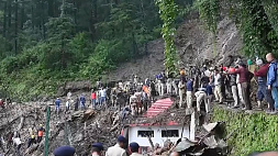 ЧП в Индонезии: во время утиной охоты рухнул висячий мост
