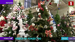 Благотворительная акция "Чудеса на Рождество"   стартовала в Беларуси