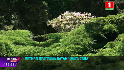 В Центральном ботаническом саду НАН время цветущих ирисов и пионов 