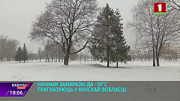 Ночные заморозки до минус 19 прогнозируют в Минской области