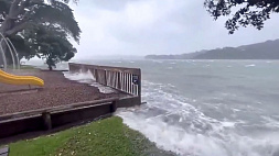 На Новую Зеландию обрушился циклон "Габриэль", введен режим ЧП
