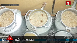 Штраф за незаконное хранение самогона грозит двум жительницам Оршанского района