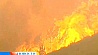 В Португалии сильные лесные пожары