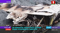 На Камчатке обнаружен черный ящик рухнувшего самолета