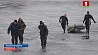 В Ушачском районе утонул рыбак 
