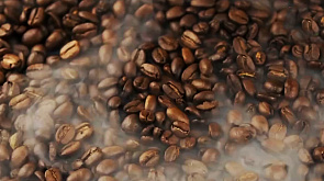 Цены на кофе робуста бьют рекорды