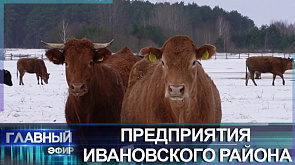 Ивановщина - аграрный край и лидер Брестской области по производству молока