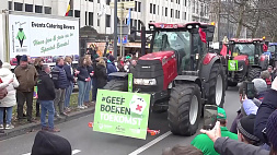 Ирландские фермеры выступают против зеленой повестки ЕС