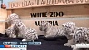 В зоопарке австрийской Вены ажиотаж