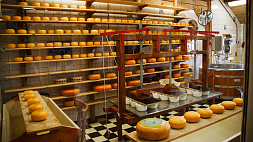 В Беларуси выпускают более 380 видов сыра и более 1 000 видов мясной продукции
