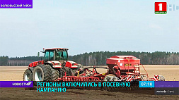 В Гродненской области многие СПК уже завершают сев зернобобовых культур
