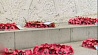 Два военных мемориала в британской столице подверглись актам вандализма