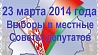 23  марта Беларусь выбирает депутатов местных Советов 27 созыва