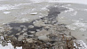 Понадеявшись на прочный лед, трое рыбаков утонули в Дзержинском районе