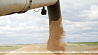 Введение ЕС пошлин на зерно из Беларуси и России - удар по мировой продовольственной безопасности - МИД Беларуси