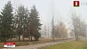 В столице и Минской области из-за тумана остается сложная дорожная ситуация