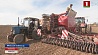 Сельхозорганзации Минской области продолжают сев яровых