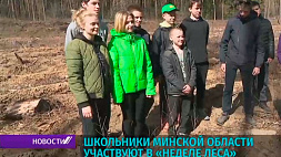 Школьники Минской области участвуют в "Неделе леса"