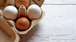 Бартош прокомментировал ситуацию с поставкой яиц в Россию: Главная задача - обеспечить яйцом внутренний рынок Беларуси