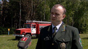 118 случаев лесных пожаров зафиксированы по Беларуси с начала этого года