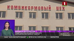 Правительство расширило перечень запрещенных для вывоза из Беларуси товаров