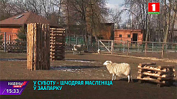 В Минском зоопарке постепенно меняют зимний рацион животных на весенний