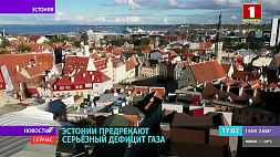 Эстонии предрекают серьезный дефицит газа, грядет мучительная зима