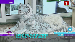 Семейство голубых тигров - символа 2022 года - поселилось в 8-й поликлинике Минска