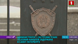 Администратор экстремистских телеграм-каналов задержана в Санкт-Петербурге